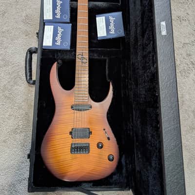 Solar Guitars SB1.6 (SB1.6HFSB) with Hardshell Case and Extras image 3