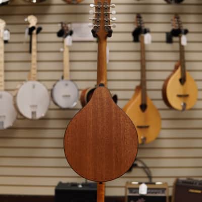 Eastman PCH-M104 PCH A Style Mandolin, Natural Finish image 6
