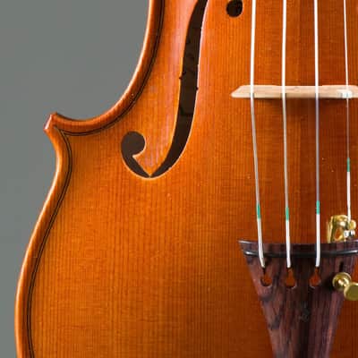 Fine Italian Violin 4/4 by Matteo Mazzotti Italy 2026 image 15