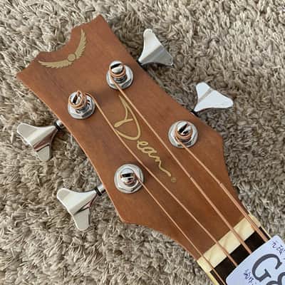 Dean Left Handed 4 String Acoustic Bass, Spruce Top Body, Mahogany Neck image 17
