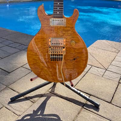 Stuart Spector Design (SSD) BlackHawk Guitar  - Stuart’s Personal Guitar image 2