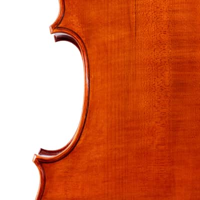 Goffriller Cello 4/4 from One Piece Back - Hand-Made in Romania 2025 #99 image 3