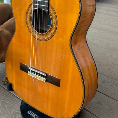 Hoshino (Ibanez) Hy-Lo 740N Classical Guitar  - Japan - 1960s - Spruce/Flame maple W/OHSC image 9