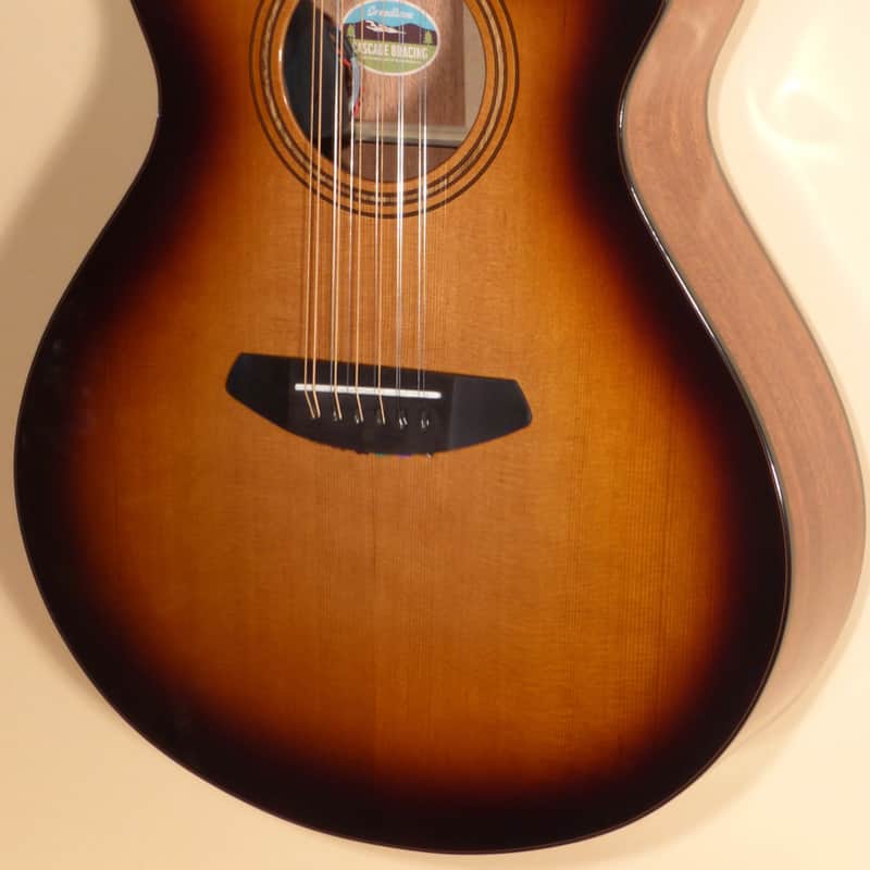 2020s Breedlove Organic Solo Pro Concert CE 12-String Edgeburst