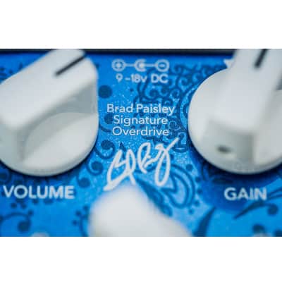 Immagine Wampler Paisley Overdrive Pedal - 7