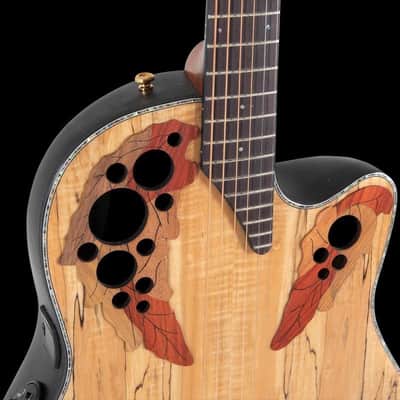 Ovation Celebrity Elite Plus Guitar - Natural Spalted Maple (CE44P-SM-G) image 3