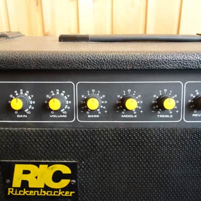 Rickenbacker RG-30 Solid State Guitar Combo 220 volt image 3