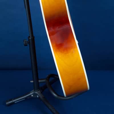 Harmony H167 / 1969 / Relive that Endless Summer image 14