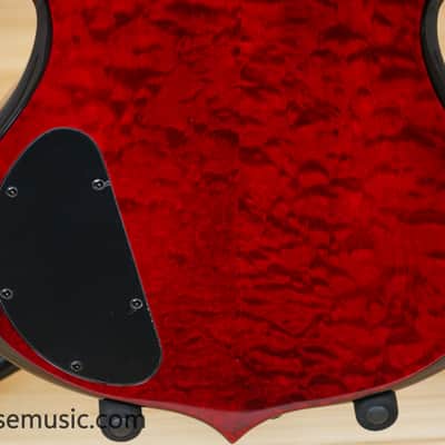Wylde Audio Barbarian - Blood Raven image 9