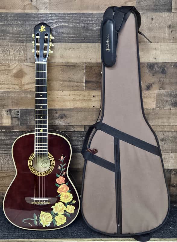 2007 Esteban Spanish Rosas Classical Electronic Acoustic Guitar - Floral image 1