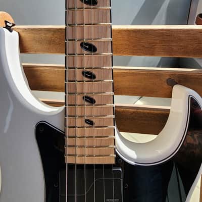 Caparison Dellinger-JSM Joel Stroetzel`21 image 8