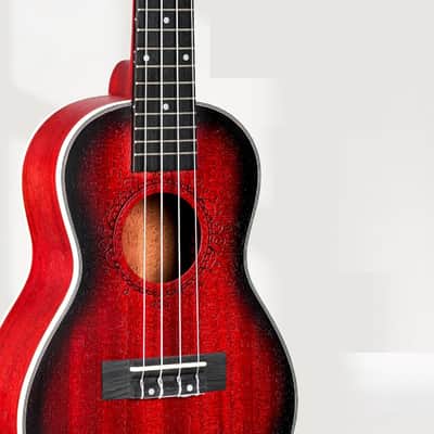 Ukulele for Beginners, 23 Inch Ukulele Kit Mahogany Bundle Concert Ukulele Professional Starter Uke Kit with Gig Bag, Red image 3