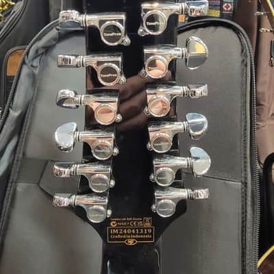 Slightly Used Schecter Stargazer 12 String Electric Guitar w/Bag image 12