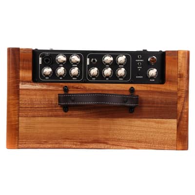 Circa 74 2-in-1 Acoustic Guitar and Vocal Amplifier Koa image 4