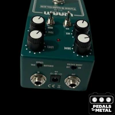 Warm Audio Tube Squealer 2025 - Present - Green - X18004 image 3