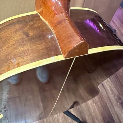 Giannini Serie Estudo Acoustic Guitar - Brazil image 15