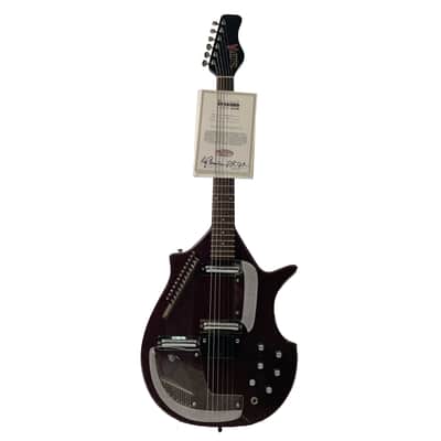 Jerry Jones Coral Sitar Electric Guitar - Owned by Ry Cooder w / COA & VIDEO image 1