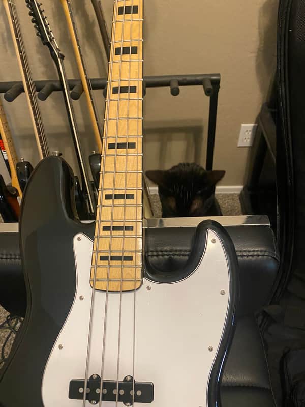 Fender MIM Geddy Lee Jazz Bass 2012 - 2019 image 1
