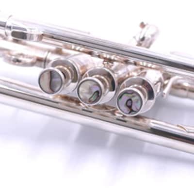 Schagerl 1961 C2GR C Trumpet - Silver Plate image 6