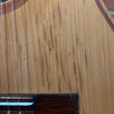 1960s Made in Brazil Savona SN-20 Classical Acoustic Guitar image 13