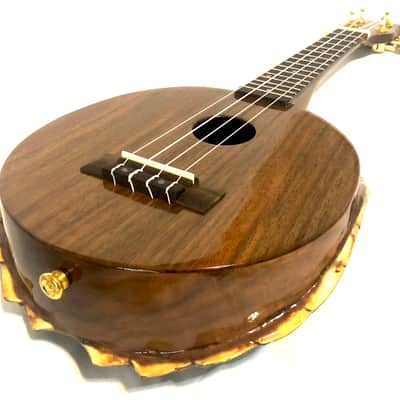Turtle Shell Soprano Ukulele image 11