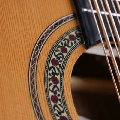 Oscar Schmidt OH52SE Acoustic-Electric Bajo Sexto w/ Gig Bag - Solid Cedar & Macassar Ebony image 15