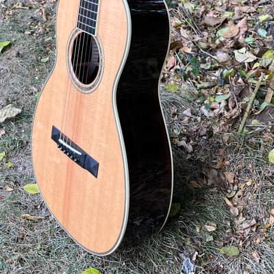Santa Cruz PJ - Rosewood Back & Sides imagen 17