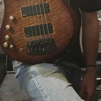 Ramsay:RMI, (only 2 ever made) Vincent Bertolani Sonota Six, signature model 6 string bass image 11