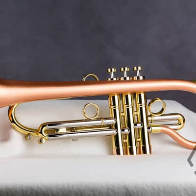 Taylor 46 Balladeer Bb trumpet / flugelhorn hybrid 2020, matte lacquer image 10