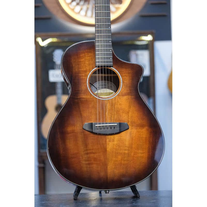 2019 Breedlove Pursuit Ex Concert CE Shaded