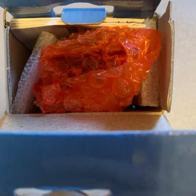 Korg Pitchblack Mini 2020 - Present - Orange image 4