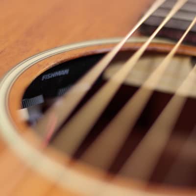 Adam Black O-2TE Travel Electro Acoustic image 7