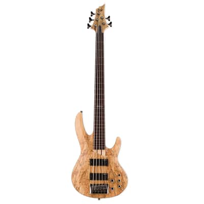 ESP LTD B-205SM Fretless 5-String Bass Guitar - Natural Satin image 2
