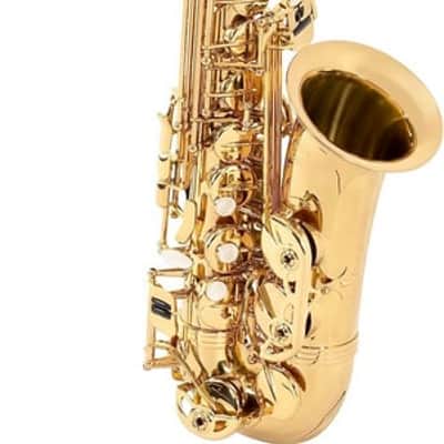 Antigua Vosi Eb Alto Sax All Lacquer Outfit With Case image 5