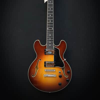 Eastman T484 Goldburst Bild 2