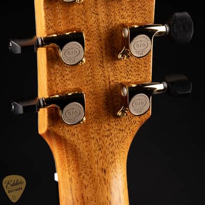 Goodall Parlor 14 Fret - Adirondack Spruce & Beeswing Mahogany image 8