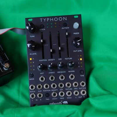 CalSynth Typhoon Mutable Instruments Expanded Clouds Black image 1