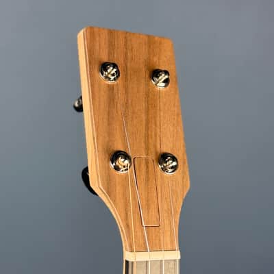 Pisgah Roscoe 5-String Banjo image 11