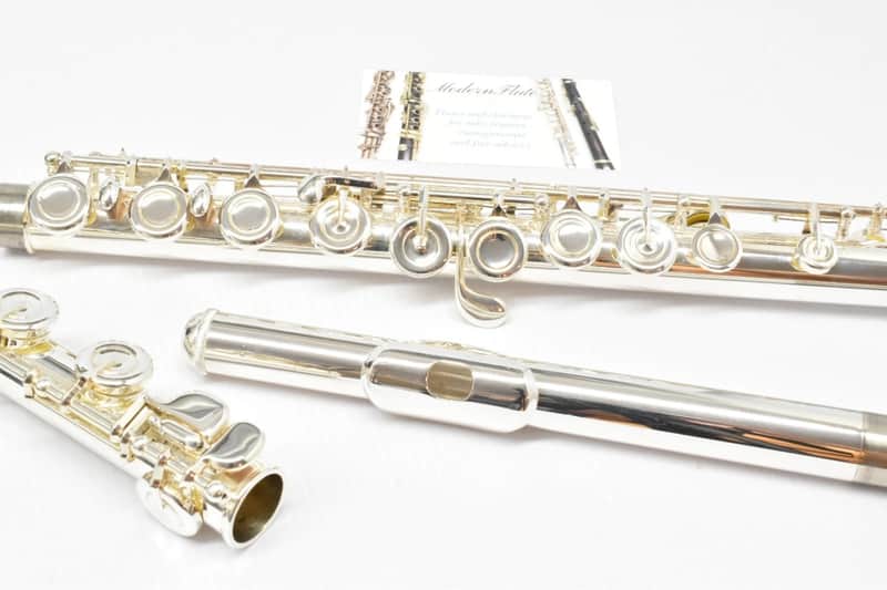 Selmer SFL301