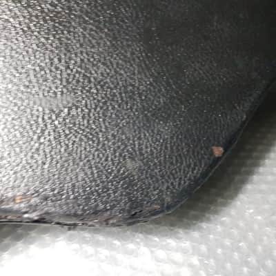 1977 FENDER STARCASTER CASE USA image 13