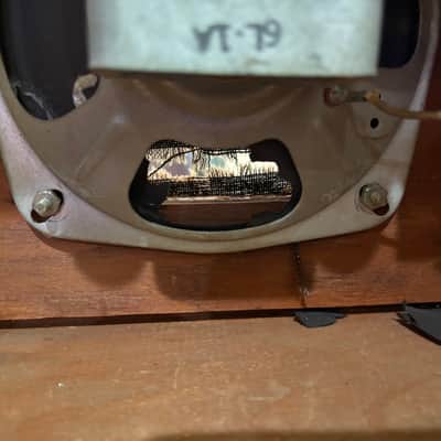 Fender Champ 1955 - Original image 15
