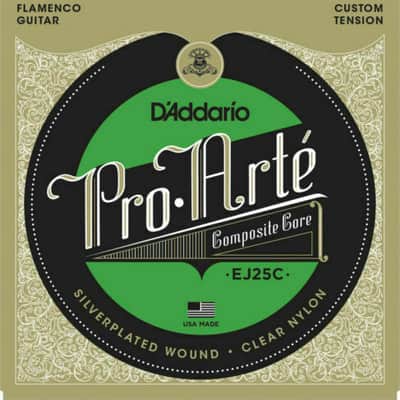 2 Set Di Corde D'Addario EXL110 Per Chitarra Elettrica – Calibro 010, Nickel, Made In USA