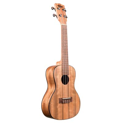 Pacific Walnut Concert Kala image 10