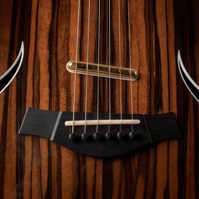 2007 Taylor T5-C2 Limited Macassar Ebony Top image 11