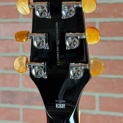 ESP LTD TL-6 Thinline Acoustic-Electric Guitar - Black image 15