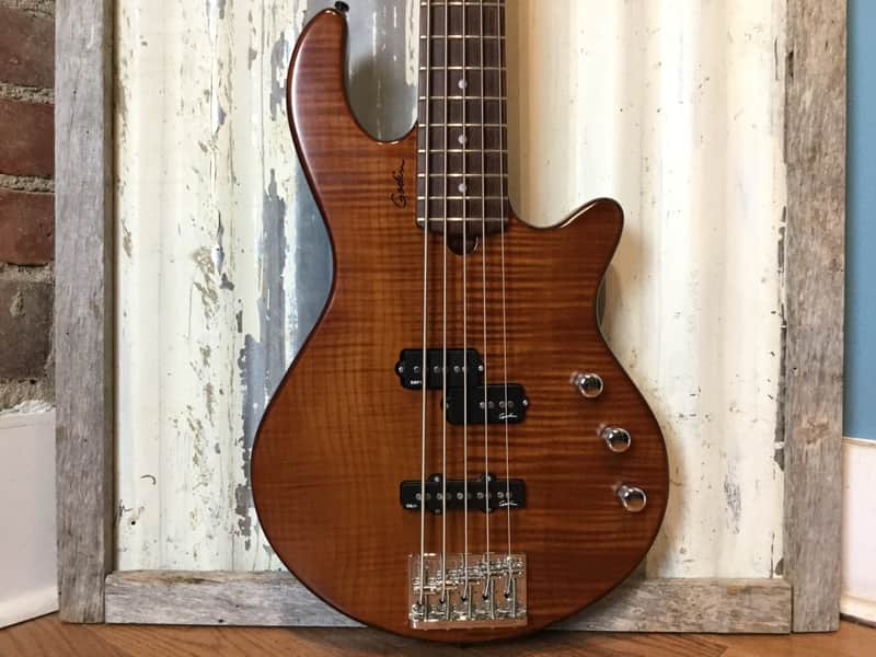 Godin Freeway 5-String Passive Bass image 1