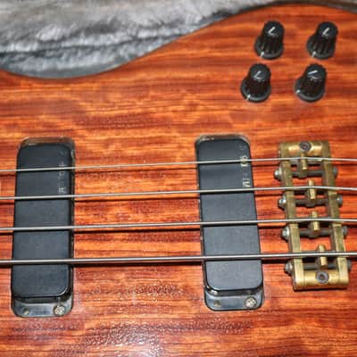 Alembic Epic 4 String Bass image 9