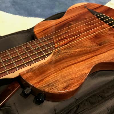 Rick Turner RB5 Fretted 2015 Gloss Renaissance Bass image 9