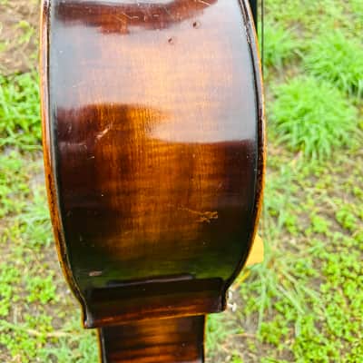 Immagine Giuseppe Petrazzini Cello 1890's Italian Labeled - 12