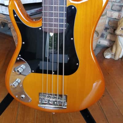 Regenerate Guitar Works Left Handed 5 String Bass. Boutique Builder from Oregon, USA. image 1